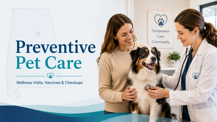 Dog receiving preventive veterinary care and a wellness examination
